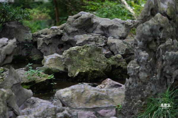 醉白池