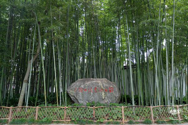 醉白池