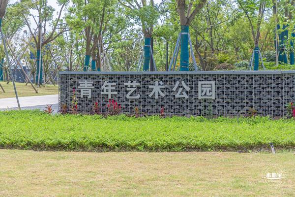上海之鱼