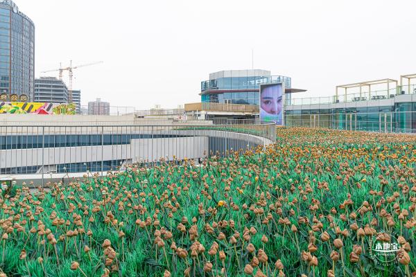 高登公园