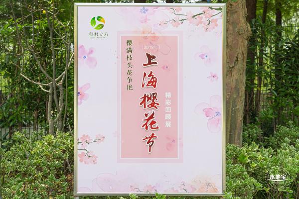 顾村公园
