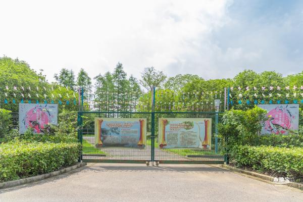 顾村公园