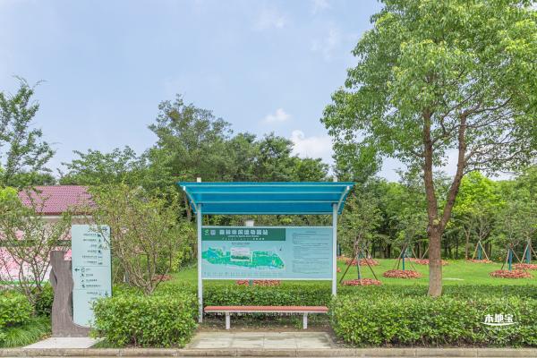 顾村公园