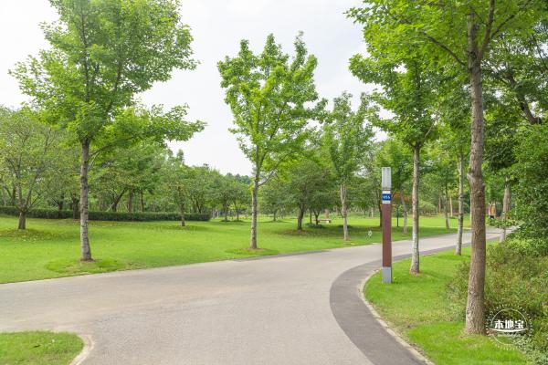 顾村公园