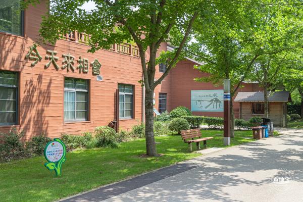 顾村公园