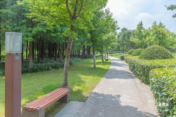 顾村公园