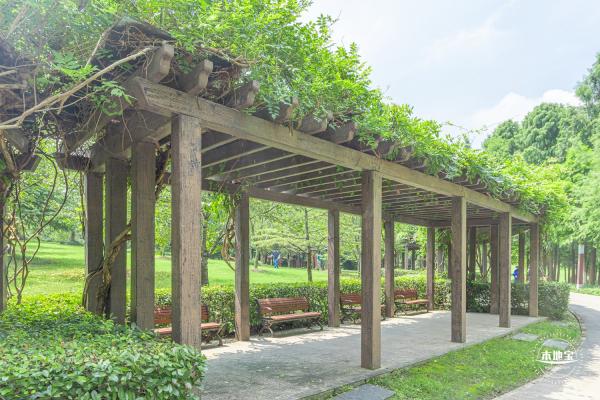 顾村公园