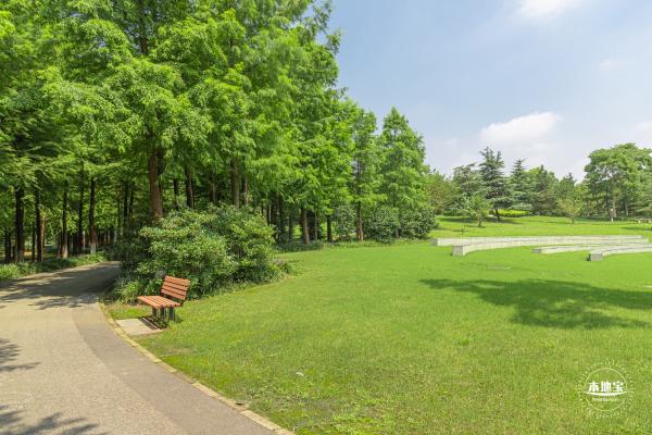 顾村公园