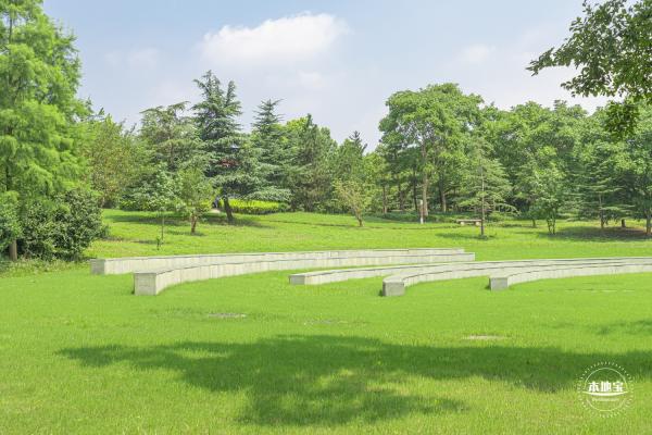 顾村公园