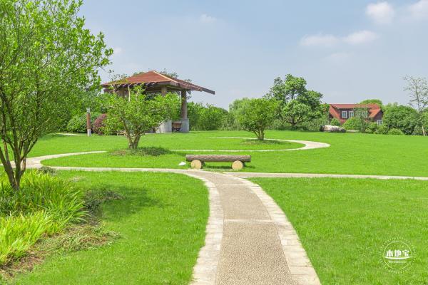 顾村公园
