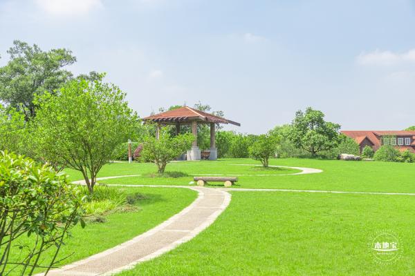 顾村公园