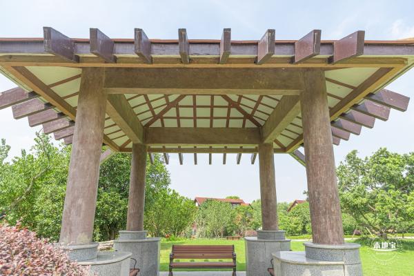 顾村公园