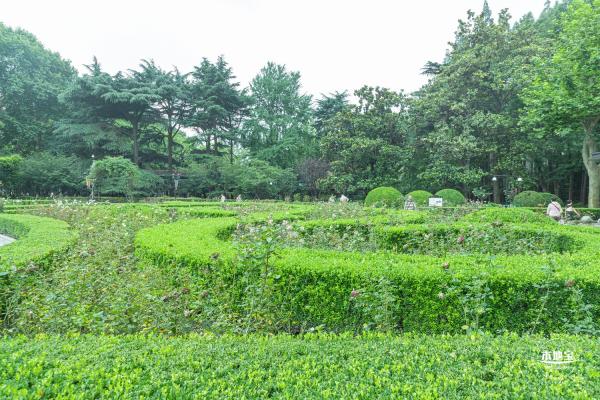 复兴公园