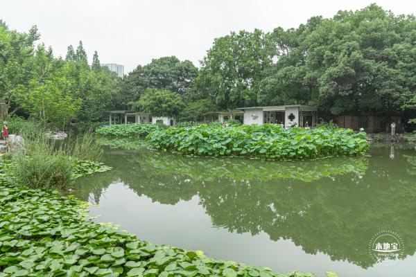 复兴公园