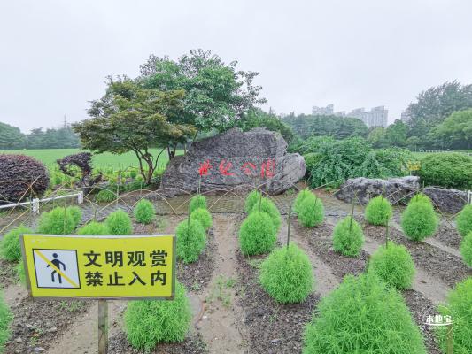 世纪公园
