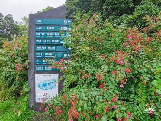 世纪公园