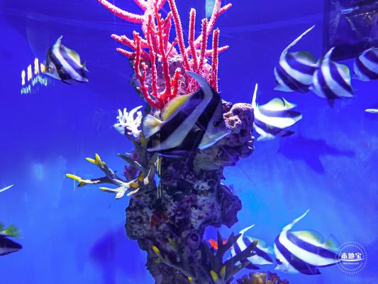 海昌海洋公园