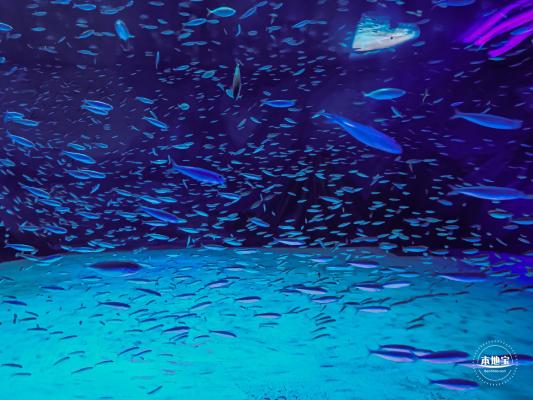 海昌海洋公园