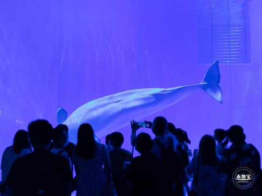 海昌海洋公园