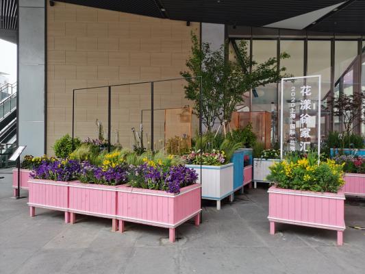 上海花展徐汇分会场