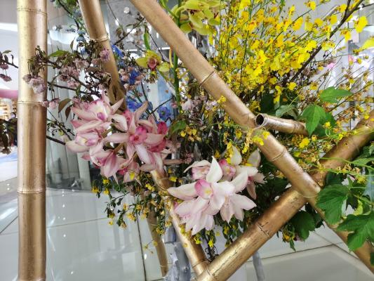 上海花展徐汇分会场