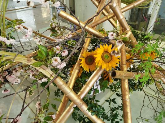 上海花展徐汇分会场