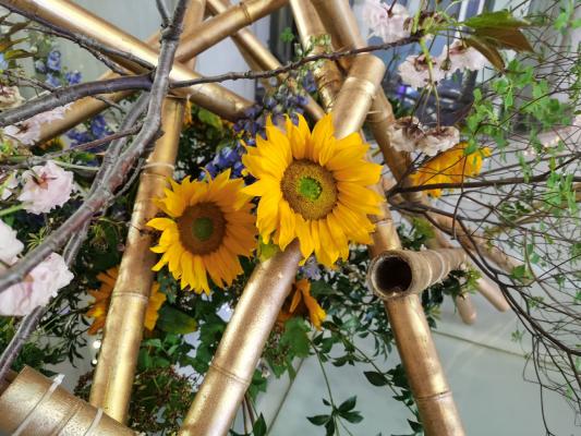 上海花展徐汇分会场