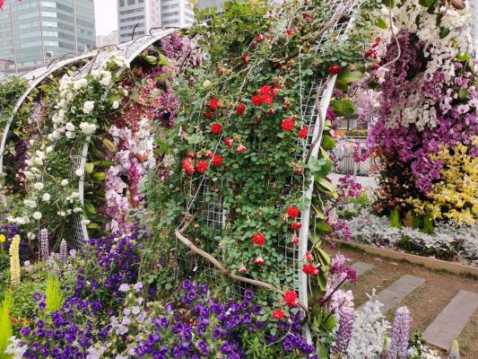 上海花展徐汇分会场