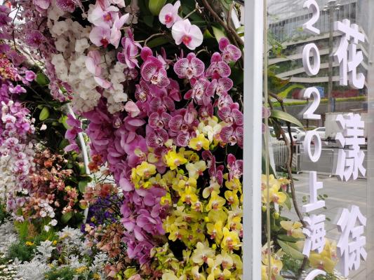 上海花展徐汇分会场