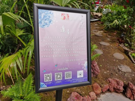 上海花展徐汇分会场