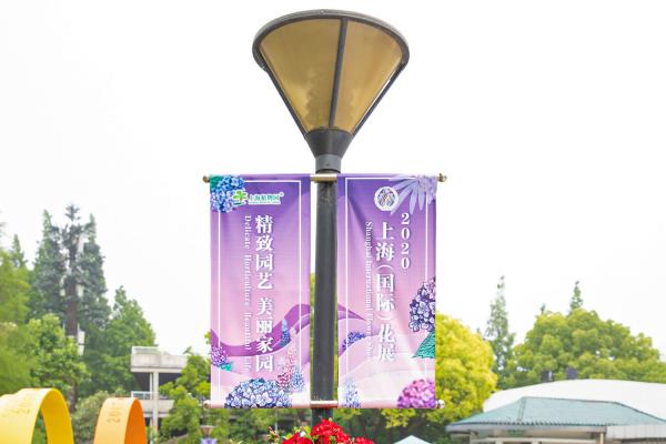 上海花展