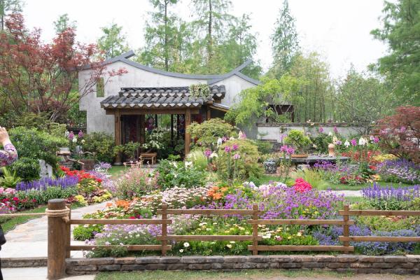 上海花展