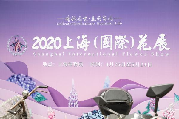 上海花展