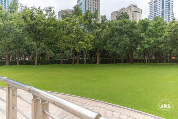 城市草坪音乐广场