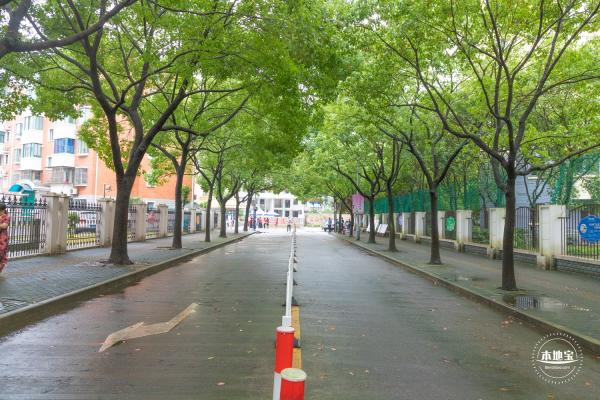 上海高考