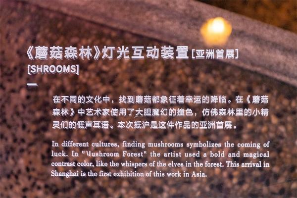 思南路灯光秀