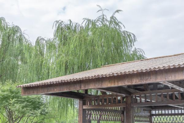 大宁公园