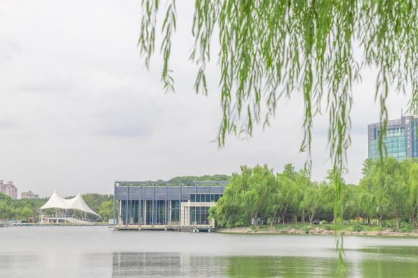 大宁公园