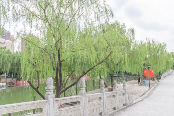 大宁公园