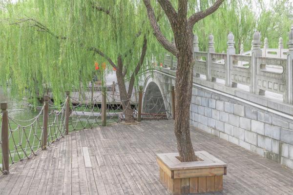 大宁公园