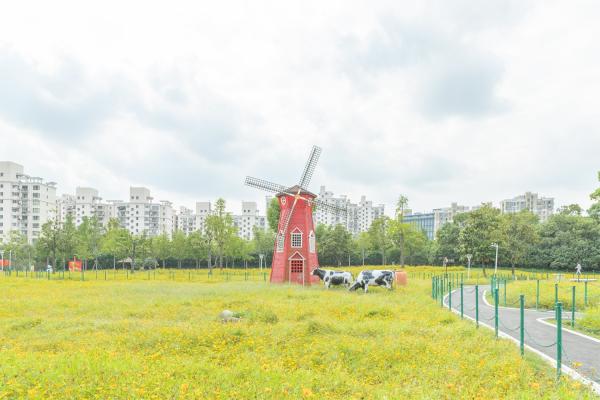 大宁公园