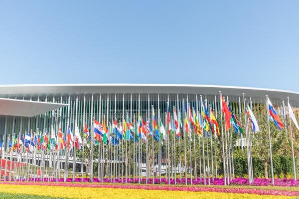 进博会国家展延展
