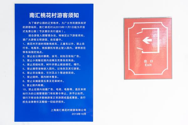 南汇桃花村
