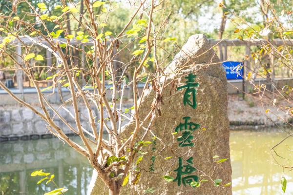 南汇桃花村