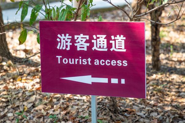 南汇桃花村