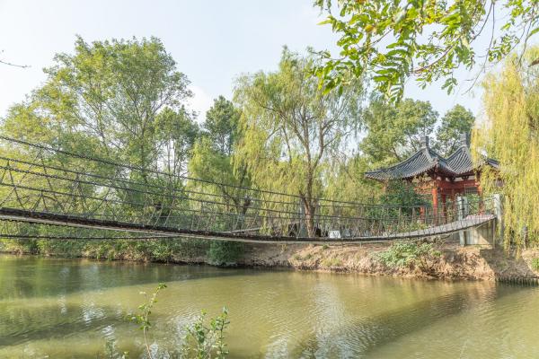 南汇桃花村
