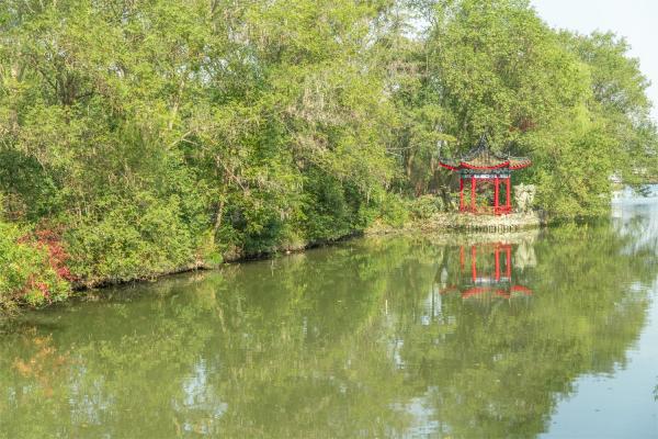 南汇桃花村