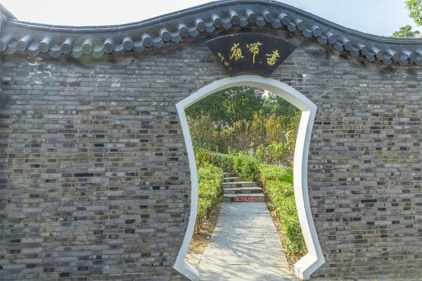南汇桃花村
