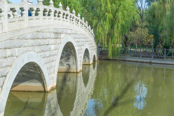 南汇桃花村