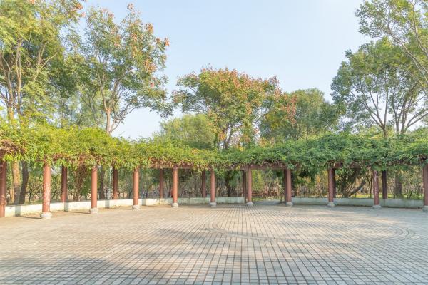 南汇桃花村